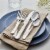 Zwilling Porterhouse 45-pc 18/10 Stainless Steel Flatware Set Perspective: back