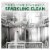 Cascade Platinum ActionPacs + Dishwasher Cleaner Fresh Scent Dishwasher Detergent Pods Perspective: back