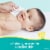 Pampers Sensitive Perfume Free Baby Wipes Perspective: back