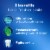 Crest + Scope Minty Fresh Complete Whitening Toothpaste Value Pack Perspective: back
