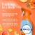 Febreze Hawaiian Aloha Odor-Fighting Air Freshener Perspective: back