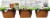 Musselman's® Cinnamon Applesauce Cups Perspective: back