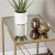 SEI Furniture Larden Mirror-Top End Table in Antiqued Mirror-Gold Perspective: back