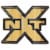 WWE Championship NXT Champion Belt Buckle Perspective: back