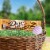 Dove® Milk Chocolate Peanut Butter Candy Easter Eggs Perspective: back