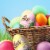 M&M'S Easter Egg Milk Chocolate Candy Perspective: back