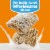Kellogg's® Frosted Mini-Wheats Cereal Perspective: back