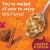 Kellogg's® Special K Pumpkin Spice Family Size Cereal Perspective: back