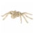 Holiday Home Spider Skeleton Decor - Cream Perspective: back