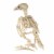 Holiday Home Tweety Bonez Skeleton Figure Perspective: back