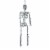 Holiday Home Poseable Skeleton Decor - Silver Perspective: back