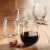 Dash of That™ Vina Stemless Red Wine Glasses - Clear Perspective: back