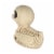 Holiday Home Halloween Skeleton Duck Decor - Bone Perspective: back