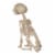 Holiday Home Skeleton Sitting Puppy Decor Perspective: back