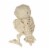 Holiday Home Owl Skeleton Figure - White Perspective: back