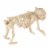 Holiday Home Bones The Hungry Hound Decor Perspective: back