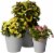 The Joy of Gardening Planter Set - Gray Perspective: back