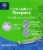 Kroger® Super Unscented Plastic Tampons Perspective: back