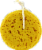 Kroger® Sea Foam Sponge Perspective: back