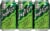 Tropi-Coco Sparkling Coconut Soda Perspective: back