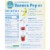 Chiquita Banana Pop Kit Perspective: back