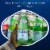S.Pellegrino Sparkling Natural Mineral Water Perspective: back