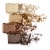 Maybelline Expert Wear Eyeshadow Quads 50Q Sunlit Bronze Perspective: back