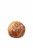 Sixteen Bricks Salted Rye Boule Perspective: back