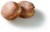 Raspberry Paczkis Perspective: back