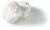 Cream Cheese Paczki Perspective: back