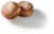 Lemon Paczki Perspective: back