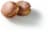 Apple Paczki Perspective: back