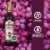 Filippo Berio® Balsamic Vinegar of Modena Perspective: back