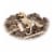 NSI International Smithsonian® Diggin' Up Dinos™ T Rex Perspective: back