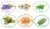 Renewgoo Essential Oil 6-Pack Set for Diffusers, Humidifier, Aroma therapy Oils Perspective: back