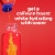 Mio Energy Strawberry Pineapple Smash Naturally Flavored Liquid Water Enhancer Perspective: back