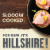 Hillshire Farm Premium Carved Slow Roasted Seasoned Ham Sandwich Meat Perspective: back
