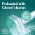 Clorox ToiletWand Disinfecting Refills Rainforest Rush Disposable Wand Heads Perspective: back