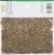 El Guapo® Sage Perspective: back