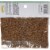 El Guapo Anise Seed Perspective: back