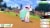 Pokemon Shield (Nintendo Switch) Perspective: back