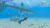 Nintendo Switch™ Endless Ocean Luminous Perspective: back