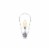Philips 4.4-Watt (40-Watt) Medium Base ST19 Vintage LED Light Bulbs Perspective: back