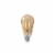 Philips Dimmable Amber 6.5-Watt (60-Watt) ST19 Vintage LED Light Bulb Perspective: back