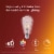 Philips 8.8-Watt (75-Watt) Medium Base ST19 Vintage LED Light Bulbs Perspective: back