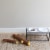 Manhattan Pet Toy Twiggy Medium Soft Fetch Stick and Squeaker Exercise Toy for Dogs Perspective: back