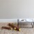 Manhattan Pet Toy Twiggy Large Soft Fetch Stick and Squeaker Exercise Toy for Dogs Perspective: back
