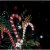 Up With Paper Candy Cane Bouquet Pop-Up Christmas Card Perspective: back