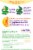 Culturelle® Adult Ultimate Balance Probiotic for Antibiotics Perspective: back
