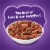 Friskies® Surfin' & Turfin' Favorites Dry Cat Food Perspective: back